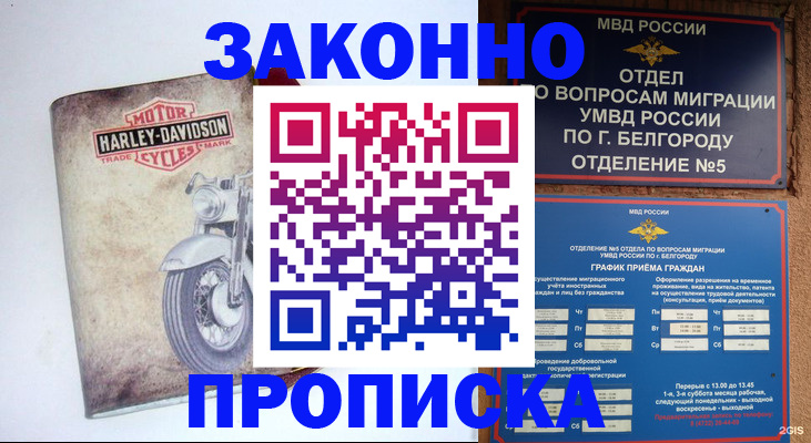 прописка для школы в Липецке